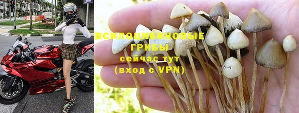 амф Балахна